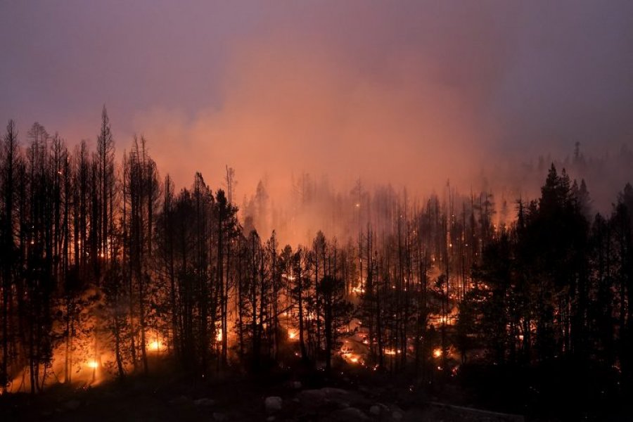 Biden shpall gjendje fatkeqësie natyrore në Kaliforni
