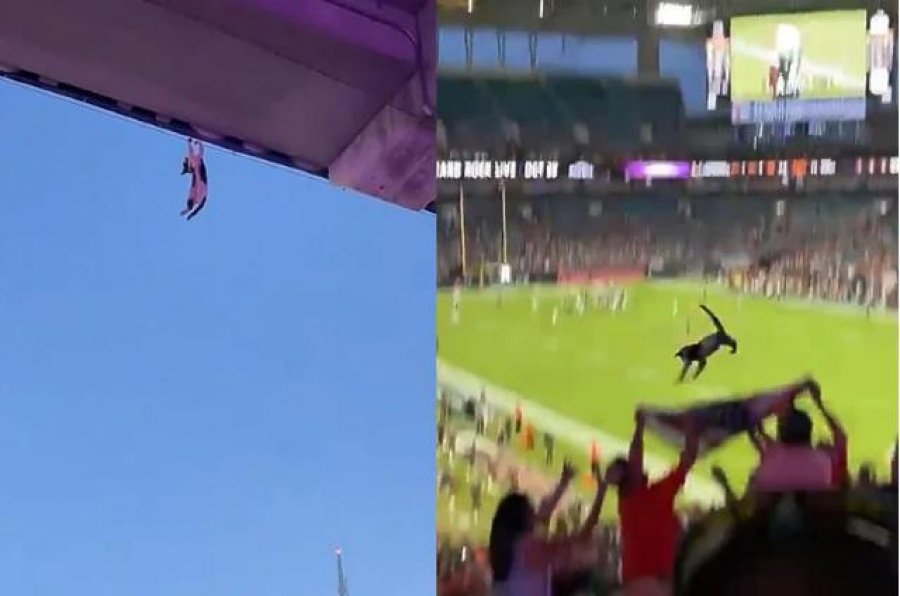 VIDEO/ Ra nga çatia e stadiumit, tifozët në Amerikë me ndihmën e një flamuri i shpëtuan jetën maces