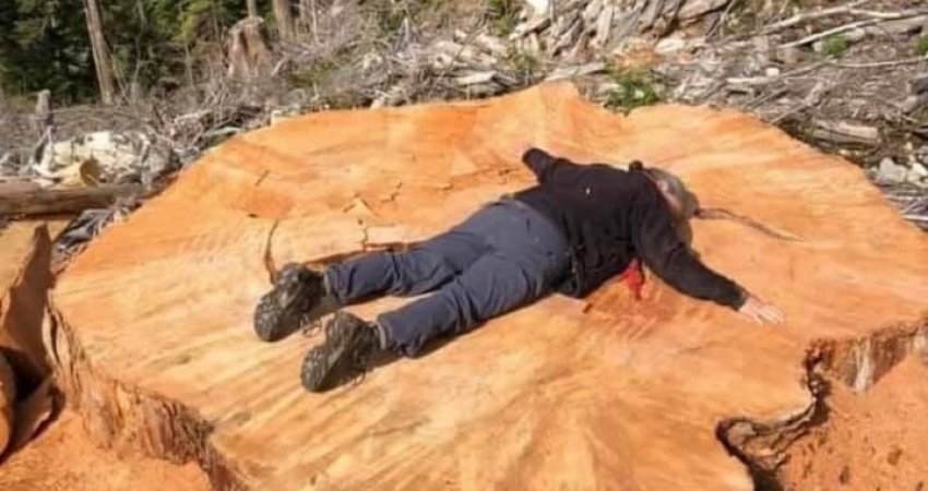 Druri 100 vjeçar shkon për furrë për ngrohje