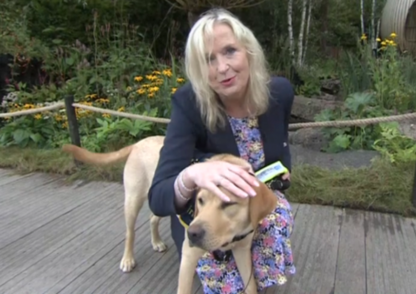 Qeni tërheq në transmetim “live” gazetaren e BBC-së