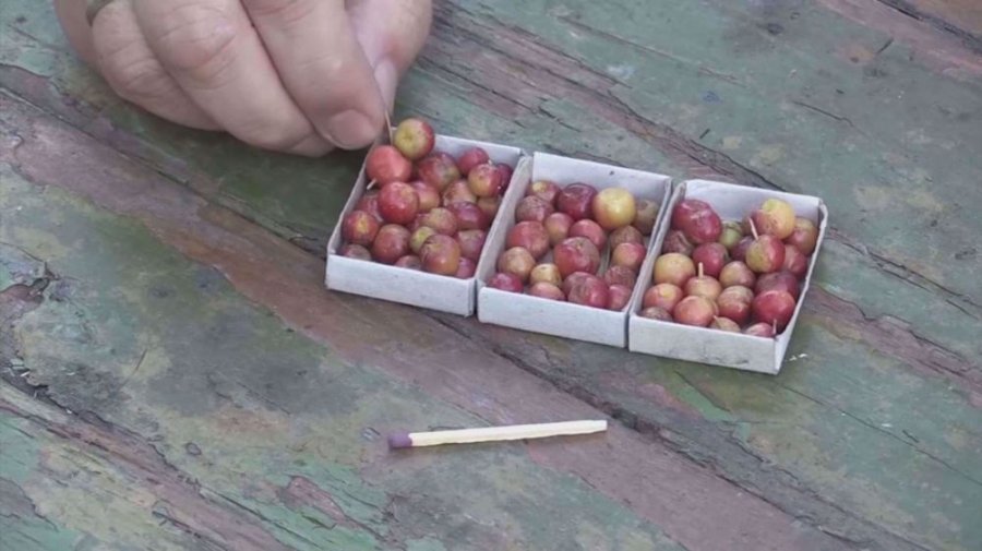 Fermeri prodhon mollët sa një perlë që i rezistojnë dimrit siberian