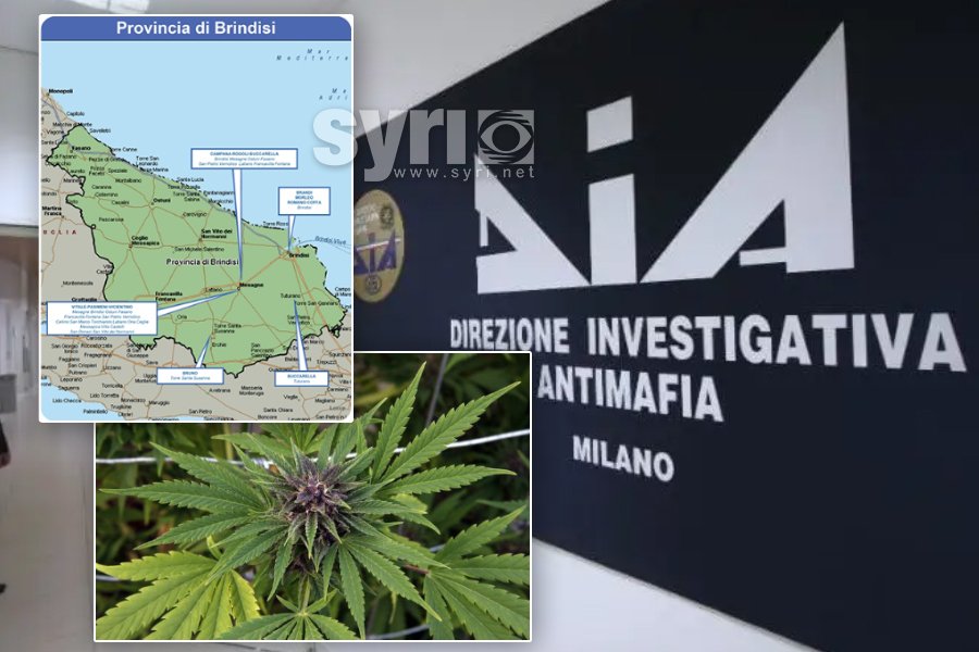 Kriminaliteti në Brindisi: Lumenj droge në bregdet, pas tyre është dora e shqiptarëve