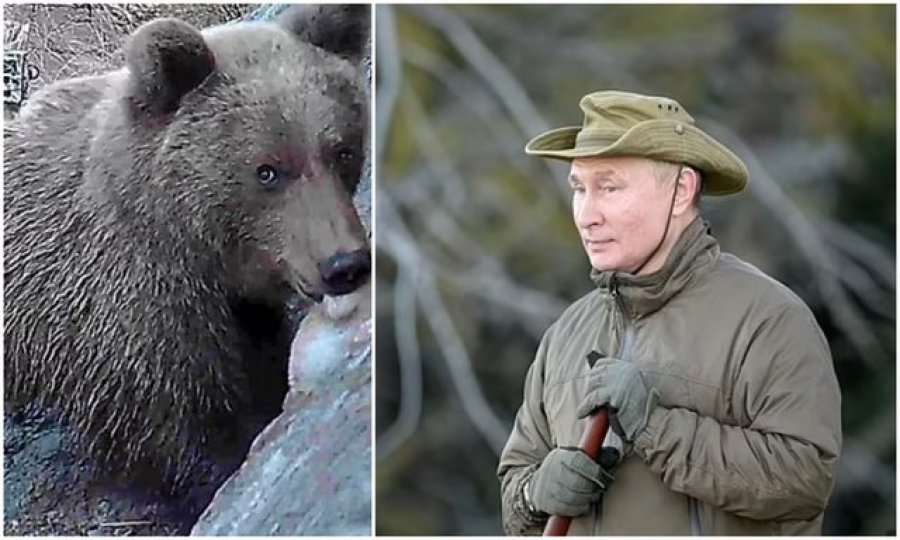 Arinjtë i afrohen kampit ku flinte Putin/ Ironia e stafit: U larguan sapo panë Presidentin rus