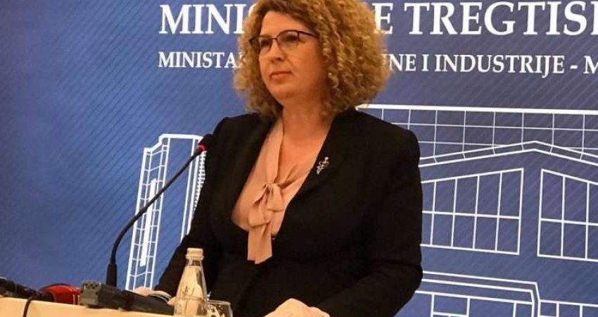 Ministrja Hajdari raporton në Komisionin për Ekonomi