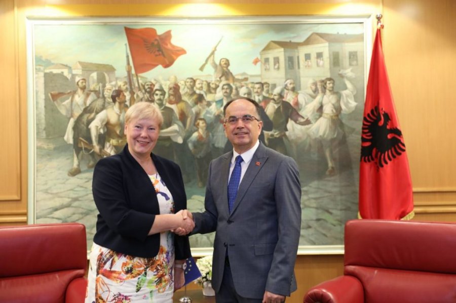 Diplomatja gjermane/ Kush është ambasadorja e re e BE-së në Tiranë