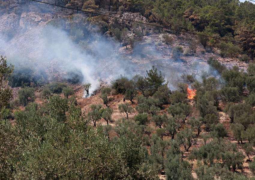 Greqi: Shpërthejnë zjarret në dy qytete, kurse në Aspropirgos ndahen më dysh
