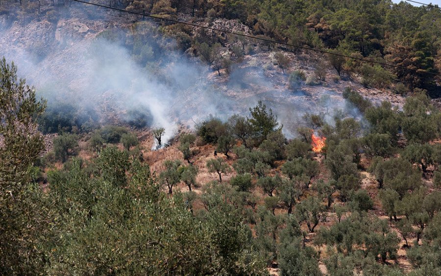 Greqi: Shpërthejnë zjarret në dy qytete, kurse në Aspropirgos ndahen më dysh