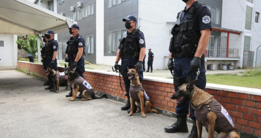 Policia e Kosovës blen 10 qen zyrtarë, 5 mijë euro një