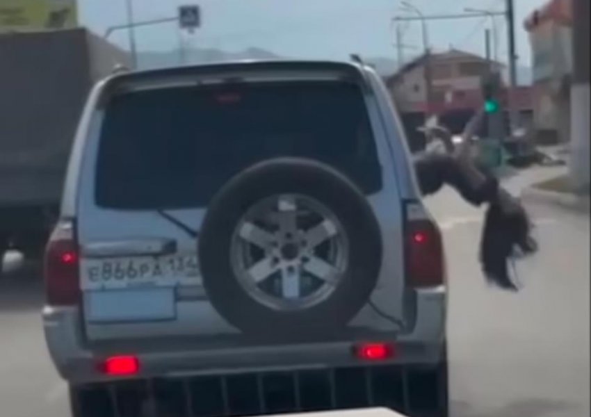 VIDEO/ Po kërcente në dritaren e makinës, gruaja bie me kokë në asfalt