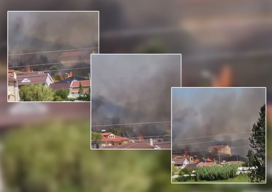 ‘Qarku i Shkodrës në flakë’/ 3 vatra zjarri aktive, një lagje e tërë në Bërdicë rrezikon të digjet