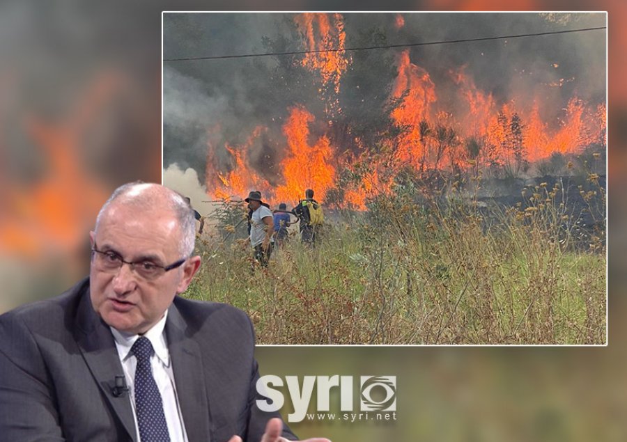 Vasili: Ka dhjete vjet qe vetëm vjedhin me koncesione, qytetarët në mëshirën e fatit përballë zjarreve