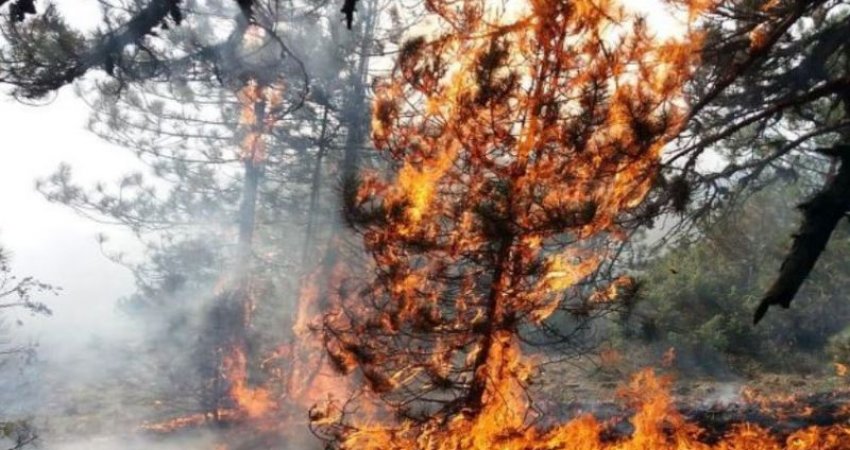 Rëndohet situata me zjarre në Shqipëri, 34 vatra në 24 orë, mbi 1 mijë forca në terren