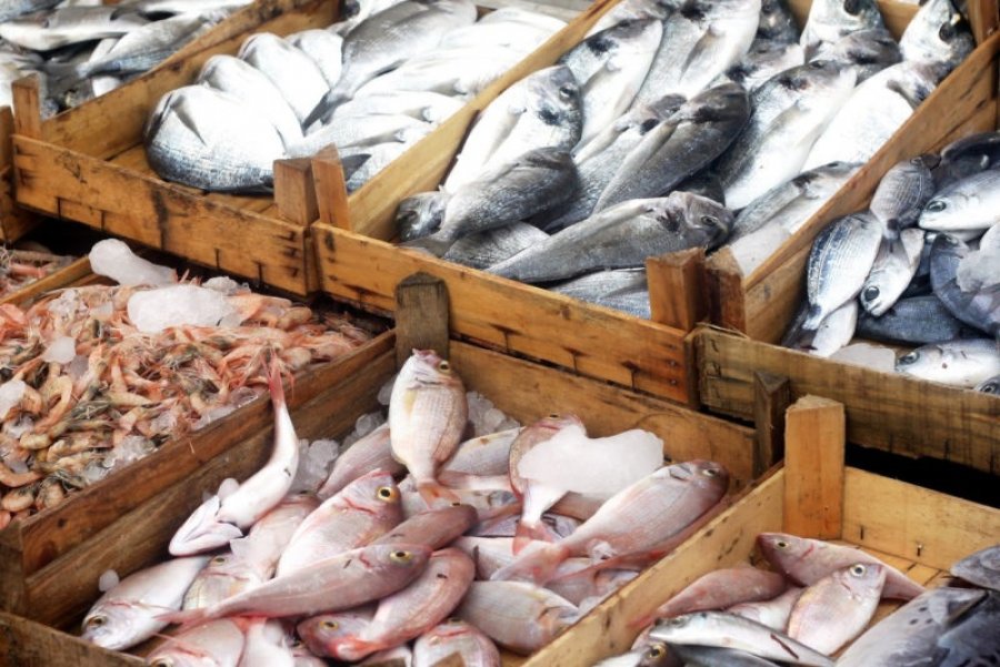 Rritje e ndjeshme e çmimeve të peshkut