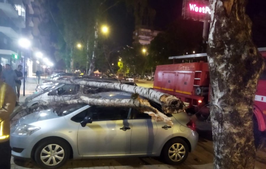 FOTO/ Rrëzohet pema në Korçë, dëmtohen 2 makina