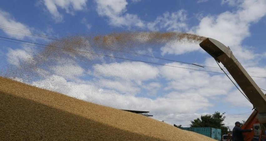 OKB: Më shumë se gjysmë milionë tone grurë janë eksportuar nga Ukraina