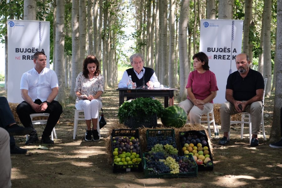 Berisha: Bujqësia e shpërfillur nga qeveria, qëndrim armiqësor ndaj fermerëve