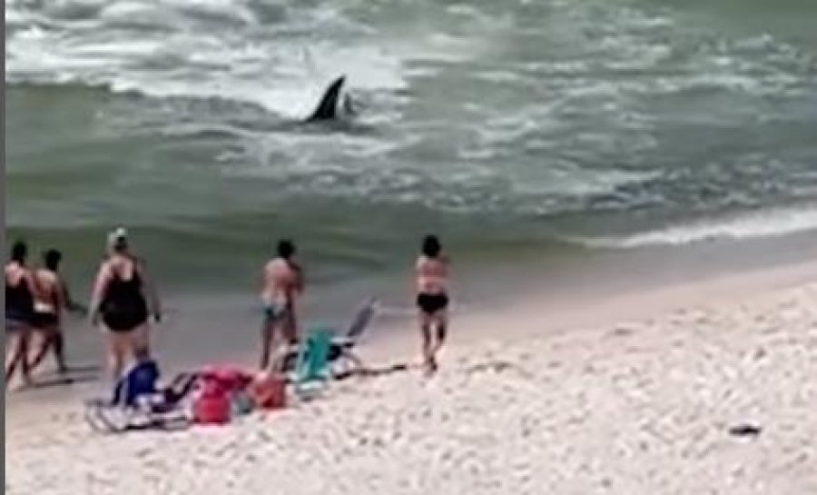 VIDEO/ Peshkaqeni i afrohet bregut, pushuesit ikin të tmerruar