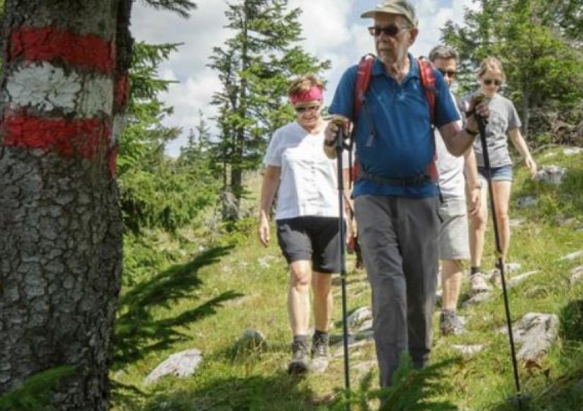 Presidenti austriak plagoset gjatë ecjes nëpër male