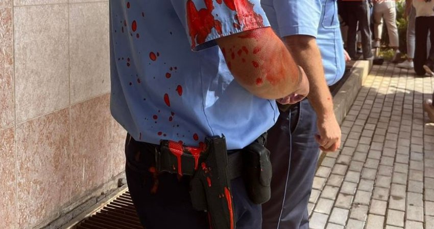 Protestuesit nuk kursehen, lyejnë me ngjyrë edhe Policinë e Kosovës (Video) 