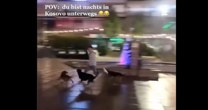 Një person ndiqet nga një tufë e qenve në sheshin e Prishtinës