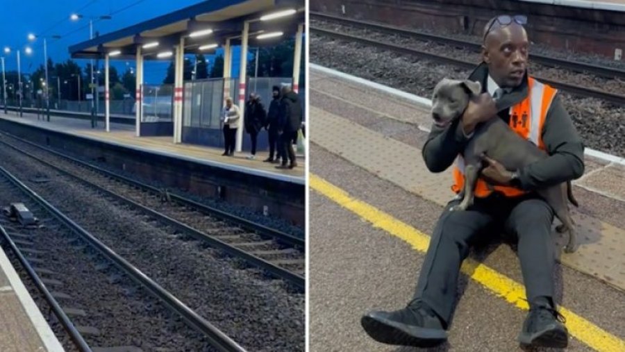 VIDEO/ Britaniku shpëton qenin nga shinat, pak para se të arrinte treni