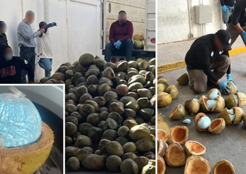 Policia meksikane gjen 300 kilogramë drogë të fshehur brenda arrave të kokosit