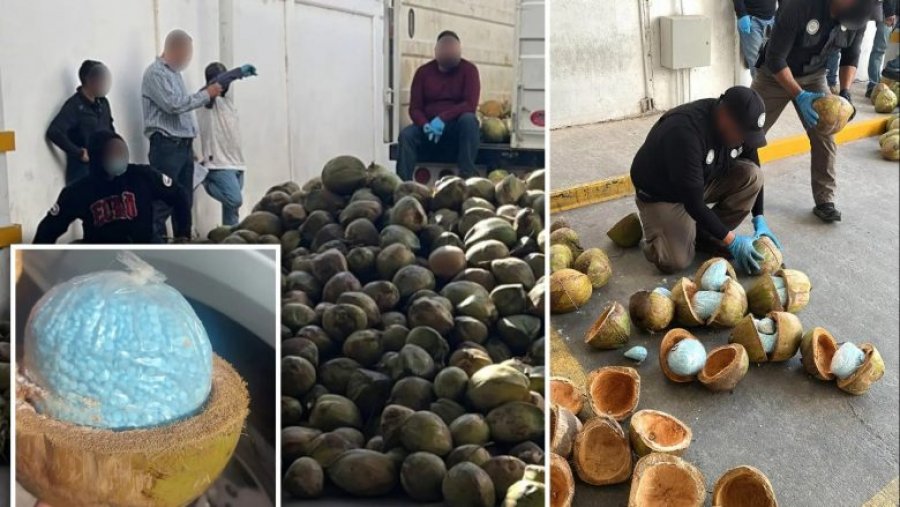Policia meksikane gjen 300 kilogramë drogë të fshehur brenda arrave të kokosit