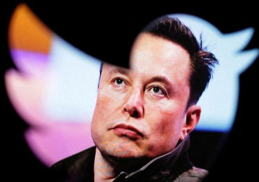 Elon Musk ka punësuar dy nga kushërinjtë e tij në Twitter