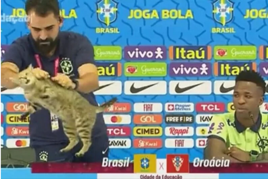 VIDEO/ Macja ndërpreu konferencën e Brazilit para ndeshjes me Kroacinë, zëdhënësi e hoqi nga tavolina