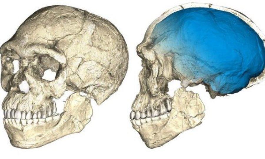 Njeriu i parë nuk jetoi në Afrikë, sipas ADN-së më të vjetër në botë ne vijmë nga Europa