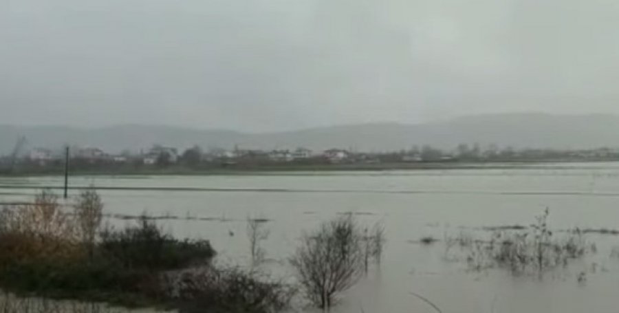 Situata në Durrës/ Asnjë prej familjeve të përmbytura nuk është evakuuar, 20 shtëpi nën ujë
