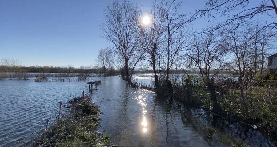Shkodër, përmbytja tërhiqet me ngadalë, 1300 ha mbeten ende nën ujë