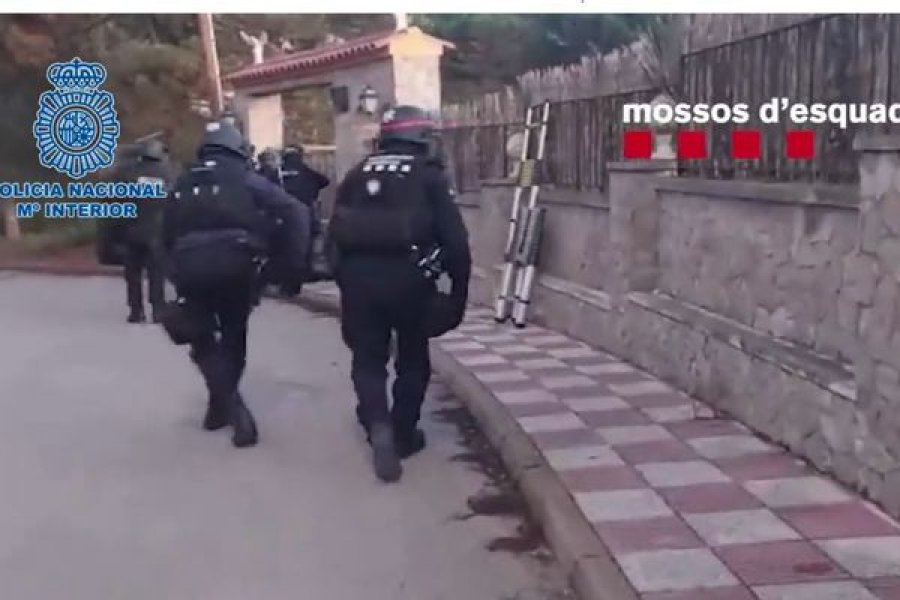 VIDEO/ Udhëtime vajtje-ardhje në Shqipëri, shkatërrohet banda e kanabisit në Spanjë