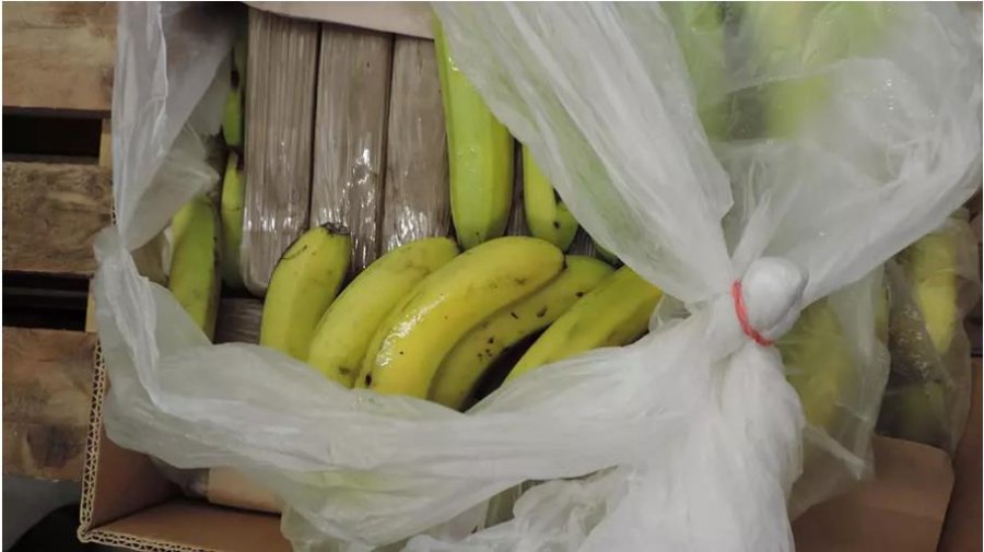 Policia në Marok sekuestron 1.5 ton kokainë/ Ishte fshehur në banane