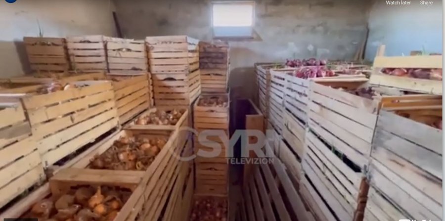 VIDEO SYRI-TV/ Korçë: Qindra tonë mollë hidhen në kanal, qepët mbeten stok, nuk ka treg