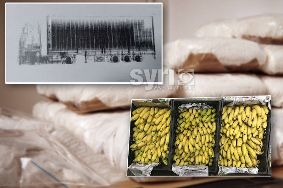 119 kg kokainë mes bananeve/ Ja foto e skanerit që nuk zbuloi ngarkesën