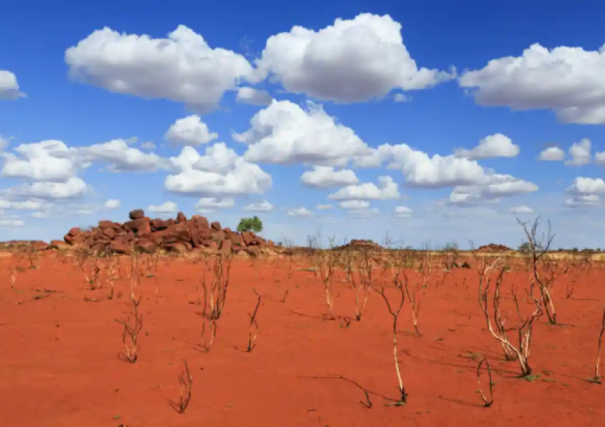 Rekord vape në disa pjesë të Australisë, temperatura shkon në 50 gradë