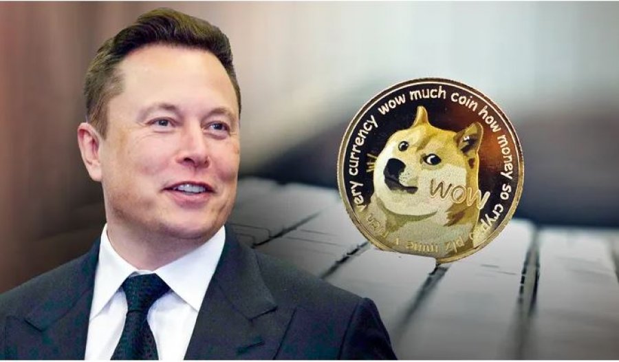 Musk pranoi Dogecoin për pagesat e produkteve Tesla, kriptovaluta rritet frikshëm
