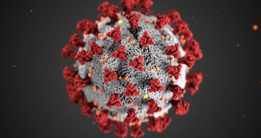 Lufta me koronavirusin: Shkencëtarët gjermanë japin super lajmin, ja çfarë kanë zbuluar