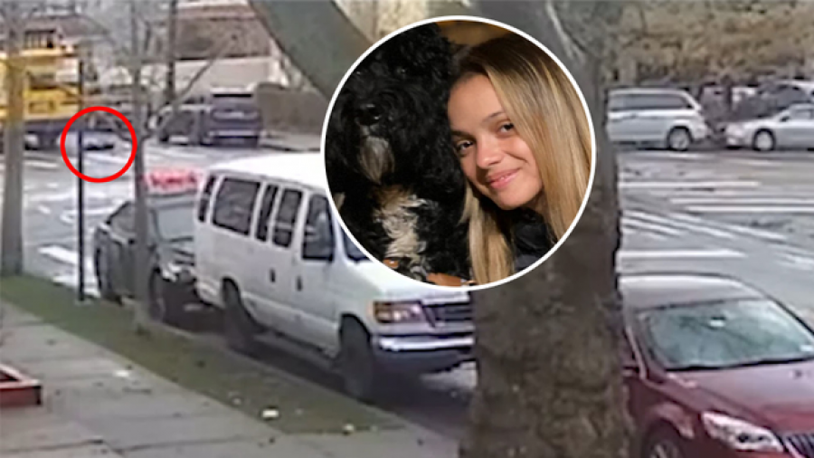 VIDEO/ E rëndë në SHBA, autobusi përplas për vdekje 15-vjeçaren, shoferi ikën nga vendi i ngjarjes