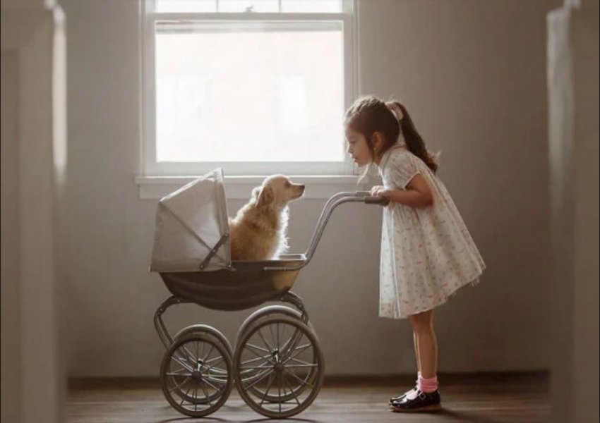 Këto foto provojnë lidhjen e pathyeshme mes një vajze dhe një qeni