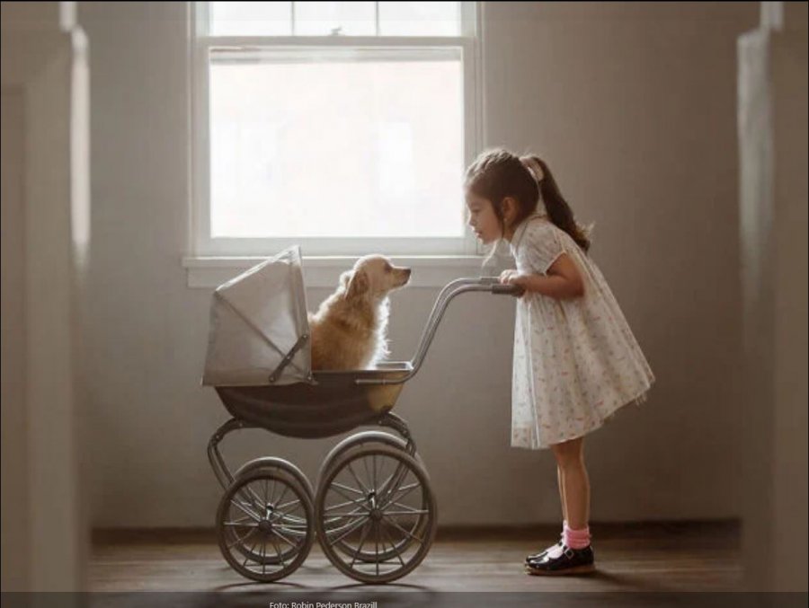 Këto foto provojnë lidhjen e pathyeshme mes një vajze dhe një qeni