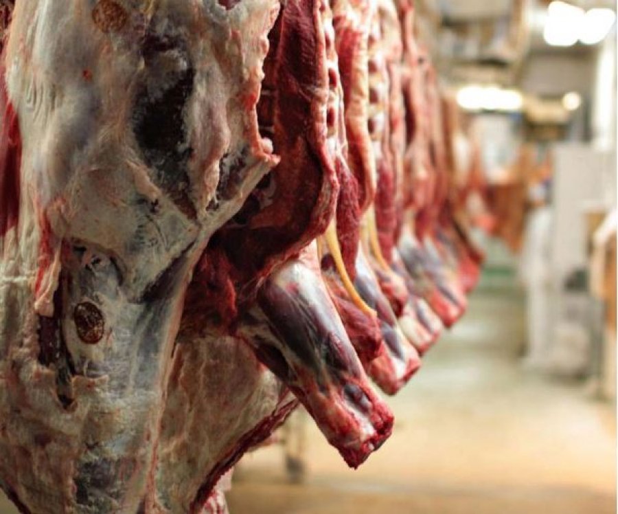 Frika nga murtaja dhe gripi i shpendëve! Shqipëria ndalon importin e mishit nga 6 vende