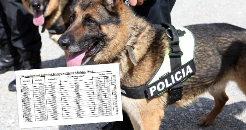 Policia e Shtetit në Shqipëri i nxjerr qentë në shitje, ja sa kushtojnë