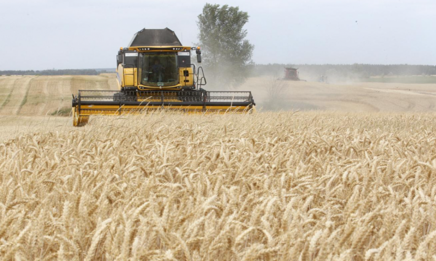Rusia e pranon që po marrin grurin e Ukrainës nga territori i pushtuar