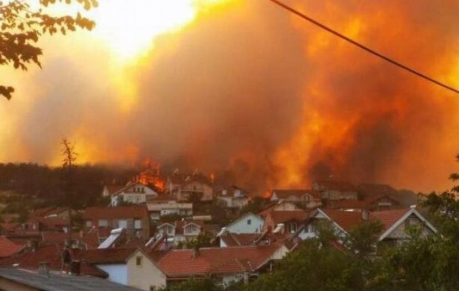 Greqia në flakë, 52 zjarre djegin vendin në 24 orë