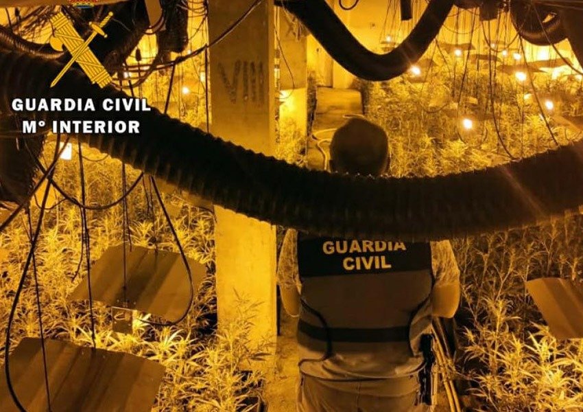 Policia spanjolle shkatërron bandën e shqiptarëve, gjendet magazinë kanabisi