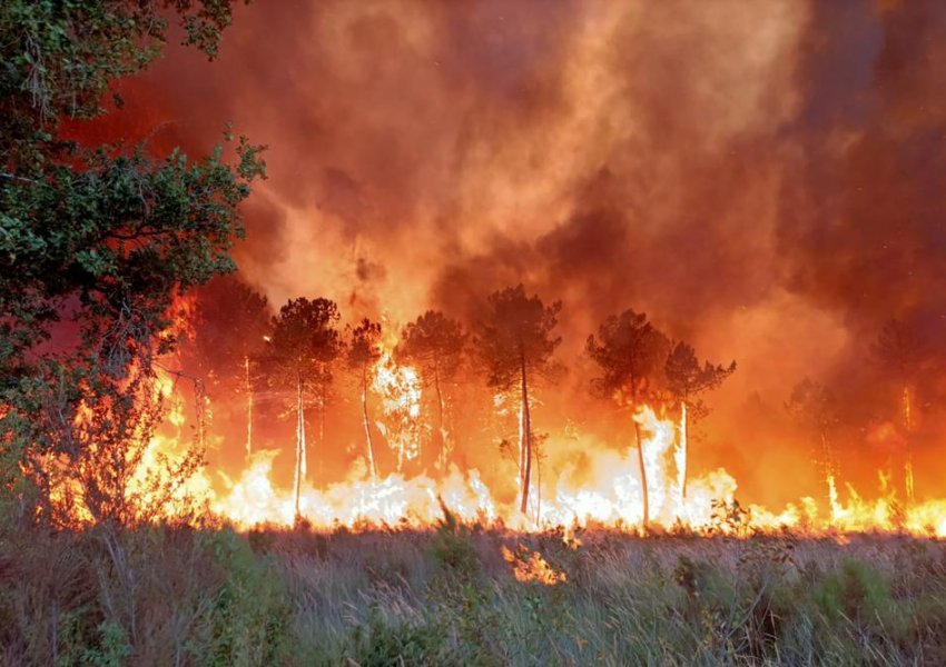Zjarret në Francë shkatërrojnë pyjet pranë Atlantikut