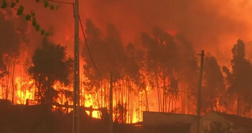 Temperaturat e larta, një fshat i tërë evakuohet në Portugali