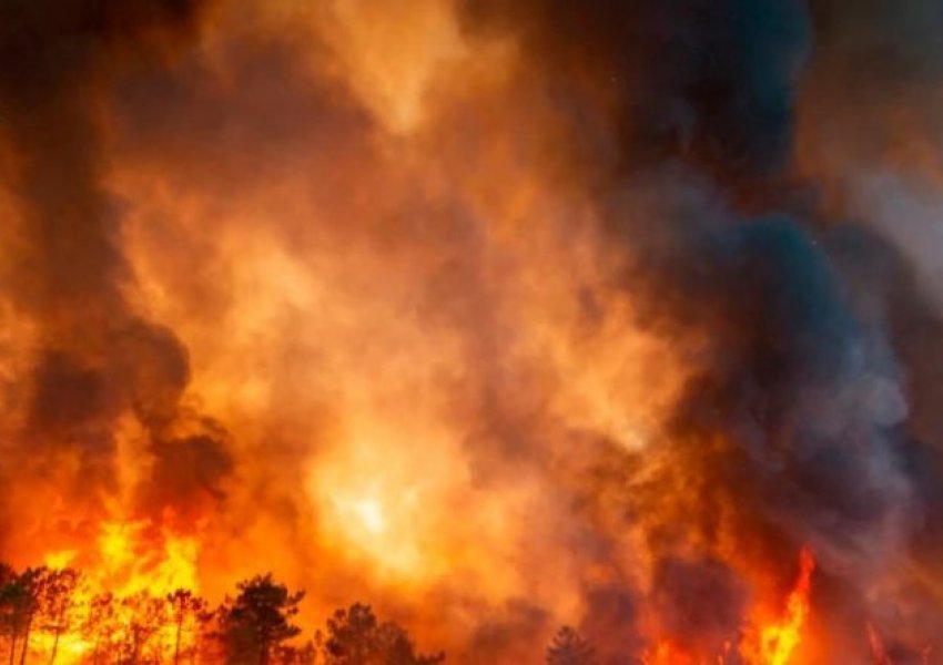 VOA/ Zjarret përvëlojnë Francën dhe Spanjën; shtohen vdekjet nga temperaturat e larta